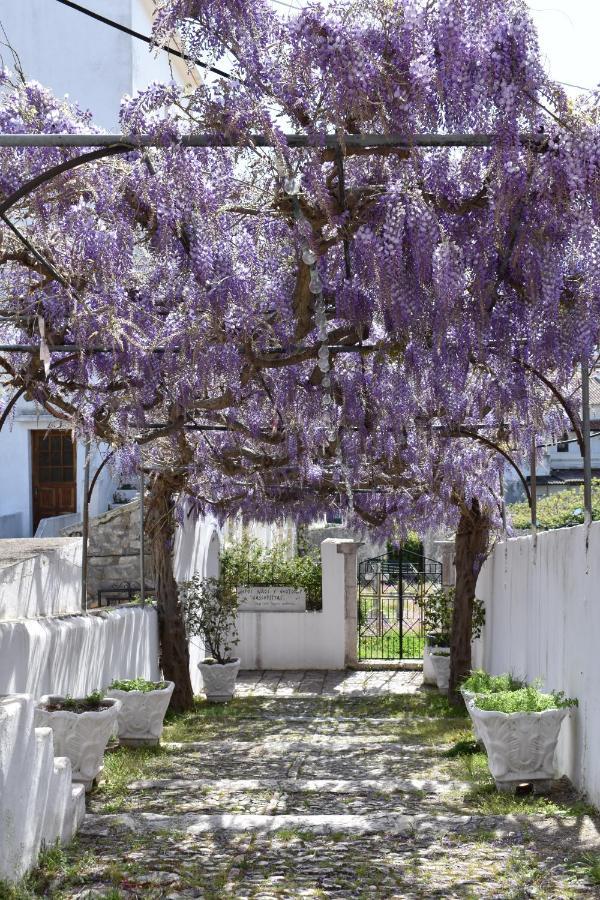 Villa Giovanna Kassiopi Extérieur photo